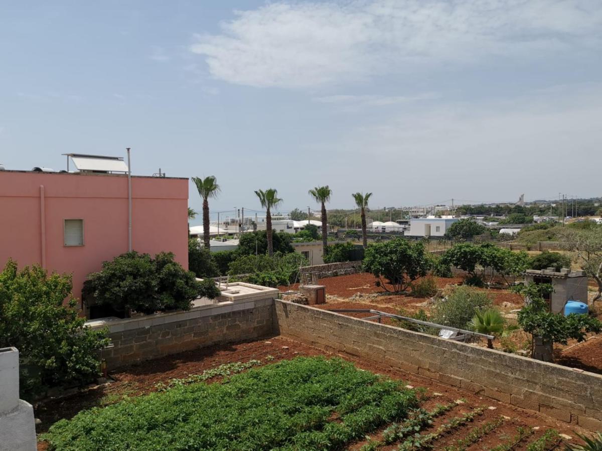 Casa Tramonto Vista Mare Daire Marina Di Pescoluse Dış mekan fotoğraf