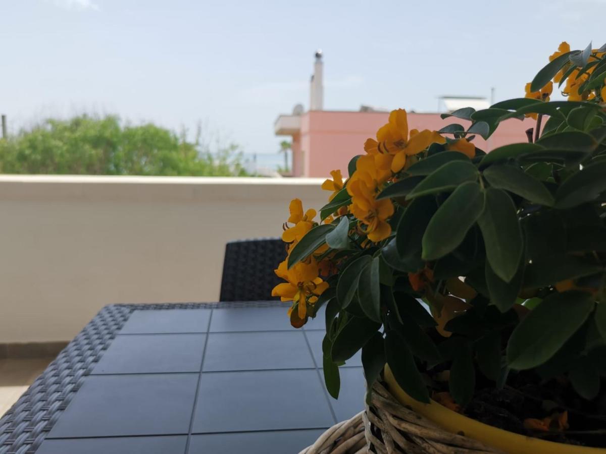 Casa Tramonto Vista Mare Daire Marina Di Pescoluse Dış mekan fotoğraf